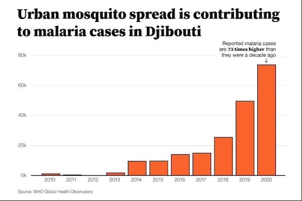 La lucha de Oxitec para erradicar la malaria en Djibouti (Foto: Oxitec)