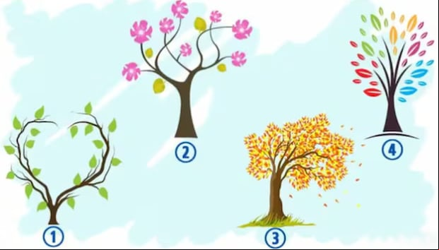 TEST VISUAL | Esta imagen te muestra cuatro árboles diferentes. Escoge uno. (Foto: namastest.net)