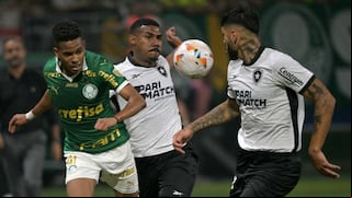 Palmeiras vs Botafogo (2-2): goles, video y resumen por Copa Libertadores 2024