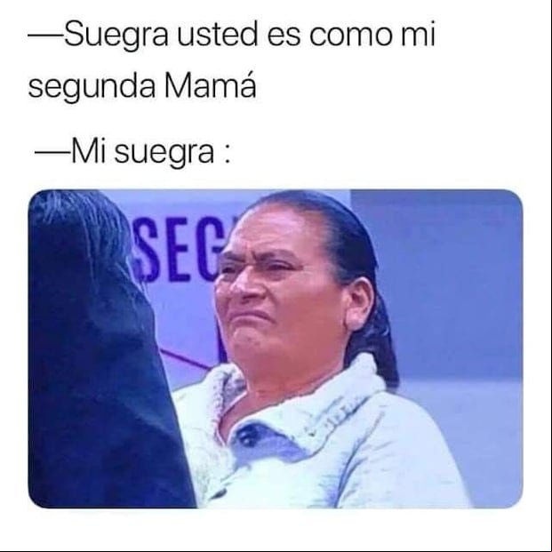 Memes por el Día Mundial de la Suegra. (Foto: Internet)