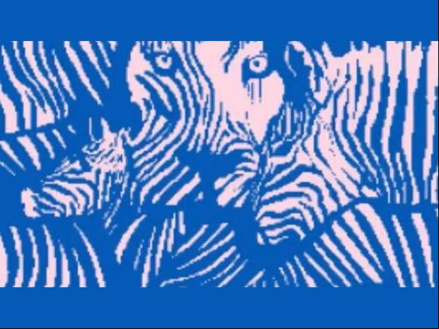 TEST VISUAL | Cebras y leones se convierten en espejos de tu carácter.
