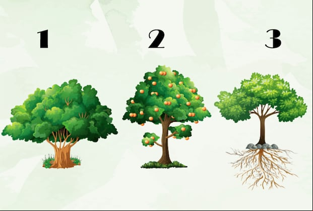 Test visual: Elige tu árbol favorito y descubre las cualidades y defectos que te definen.