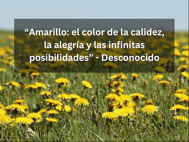 “Amarillo: el color de la calidez, la alegría y las infinitas posibilidades” - Desconocido | Imagen de NoName_13 en Pixabay / Composición Mix