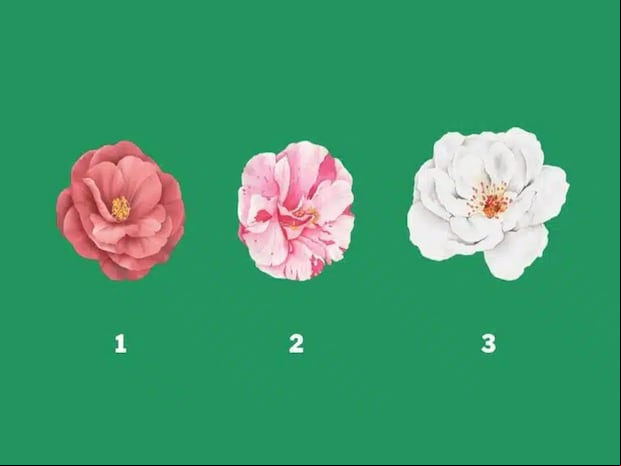 Observa atentamente las 3 flores que se presentan en la imagen y elige aquella que más te llame la atención. Tu elección te revelará aspectos sorprendentes de tu personalidad, las verdades que las personas no se atreven a decirte y las razones por las que temen ser honestos contigo.