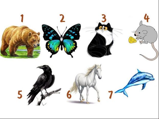 TEST VISUAL | Elige un animal y explora rasgos profundos de tu personalidad que quizás no conocías. | espritsciencemetaphysiques