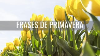 40 frases de primavera cortas y bonitas para la llegada de la estación este 19 de marzo