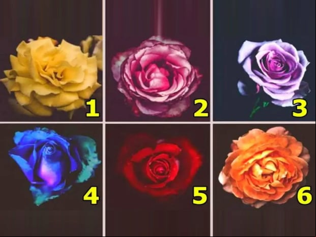 TEST VISUAL | Esta imagen te muestra seis rosas diferentes. Tienes que decir cuál es tu preferida. (Foto: namastest.net)