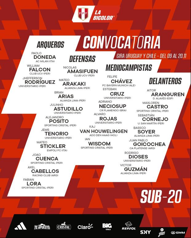 Convocatoria con miras a los amistosos ante Uruguay y Chile. (Foto: Bicolor)