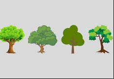 Visual test: choose one of the trees to discover what kind of personality you have