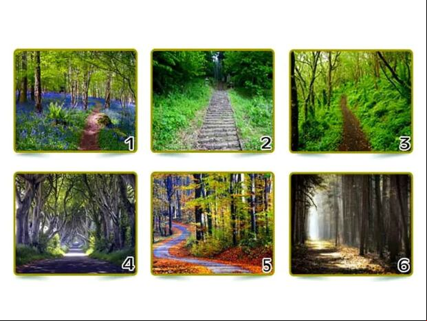 TEST VISUAL | Esta imagen te muestra seis caminos. Indica cuál tomarías. (Foto: namastest.net)