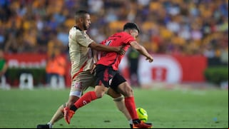 Tigres vs. Tijuana (4-1): goles, video y resumen del partido por la Liga MX 2024