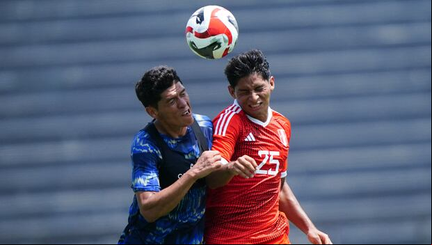 Alianza Lima conocerá el fixture de la Liga 1 2024 este lunes 8 de enero. (Foto: FPF)