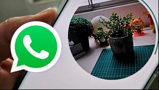WhatsApp: el truco para reenviar un videomensaje