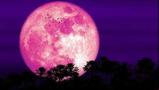 Luna Rosa 2024 de abril en México: cómo, cuándo y dónde verla en México