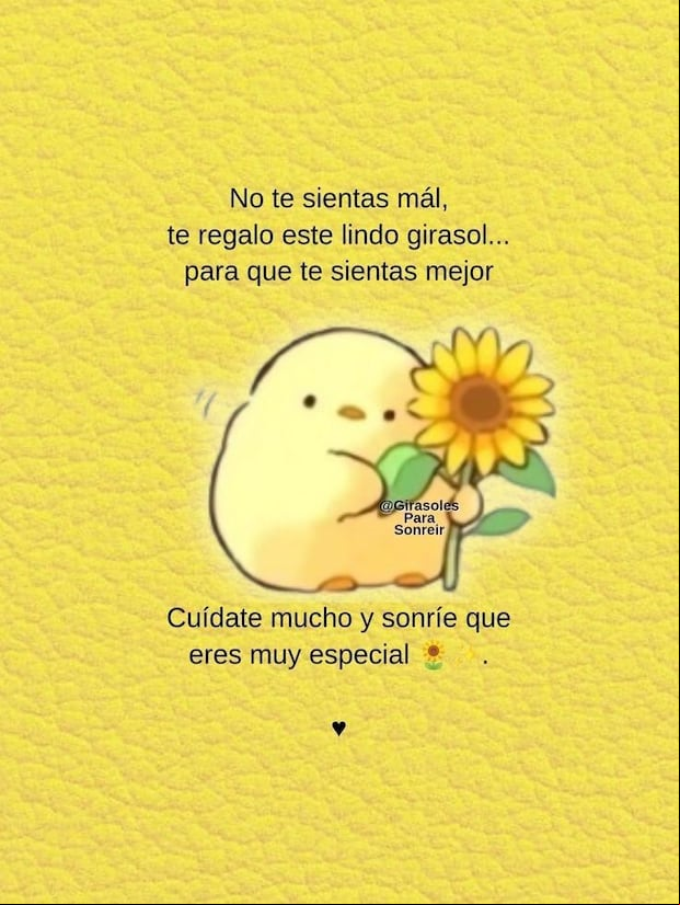 Imágenes de flores amarillas para compartir este 21 de marzo en redes sociales (Foto: Pinterest).