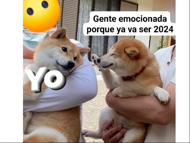 WHATSAPP | Aquí tienes los mejores memes de Cheems para el Año Nuevo 2024. (Foto: Facebook - Memes del perrito cheems)