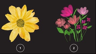 Elije la flor que más te gusta y descubre por qué te cuesta hacer amigos