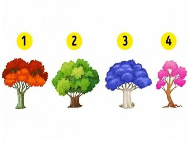 TEST VISUAL | Esta imagen te muestra cuatro árboles. Tienes que elegir uno. (Foto: namastest.net)