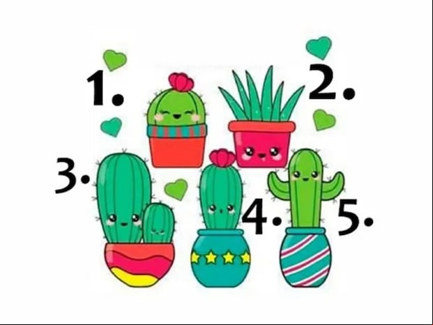 TEST VISUAL | Esta imagen te muestra bastantes cactus. Elige uno. (Foto: namastest.net)