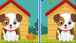 Pon a prueba tu mente al encontrar las 5 diferencias en esta imagen
