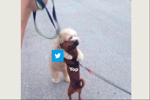 WHATSAPP | Muchas veces Twitter es la vieja confiable para saber si WhatsApp se cayó. (Foto: Memegenerator)