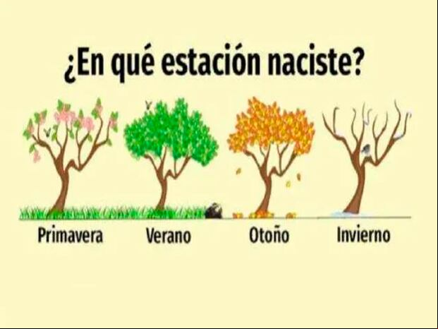 TEST VISUAL | Solo tienes que elegir entre estas alternativas y llegarás a conocer los resultados de la prueba. | Foto: namastest