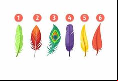 Test visual de plumas: Descubre tu personalidad oculta en un minuto