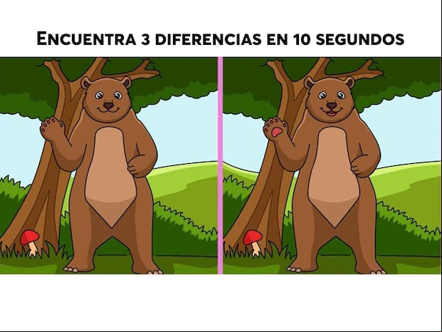 DESAFÍO VISUAL |¿Tienes ojo para los detalles? Tu tarea es encontrar las 3 diferencias entre las dos imágenes en tan solo 10 segundos.