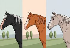 Choose one of the horses in this image to discover how far you will go in life