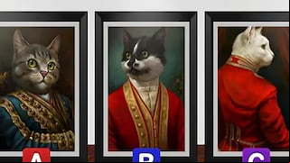 Elige un gato en este test y revela las cualidades que te definen como líder