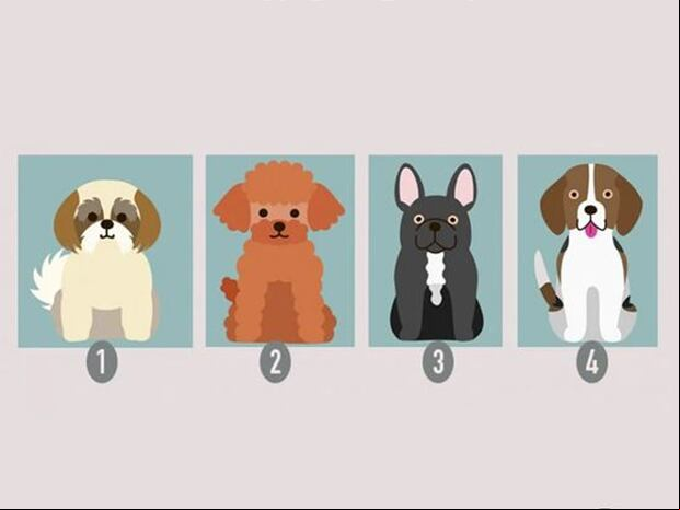 TEST DE PERSONALIDAD | Tu elección revelará aspectos únicos de tu personalidad y te guiará hacia la felicidad.