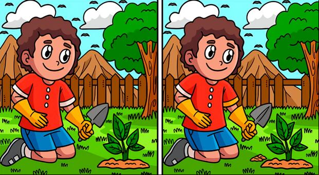 ¿Eres capaz de encontrar las 6 diferencias en solo 8 segundos? ¡Un reto para observadores expertos! (Foto: Depor)