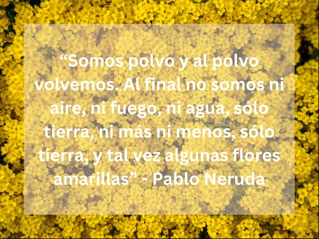 "Somos polvo y al polvo volvemos. Al final no somos ni aire, ni fuego, ni agua, solo tierra, ni más ni menos, solo tierra, y tal vez algunas flores amarillas" - Pablo Neruda, poeta y político chileno. | Foto de Artiom Vallat en Unsplash / Composición Mix