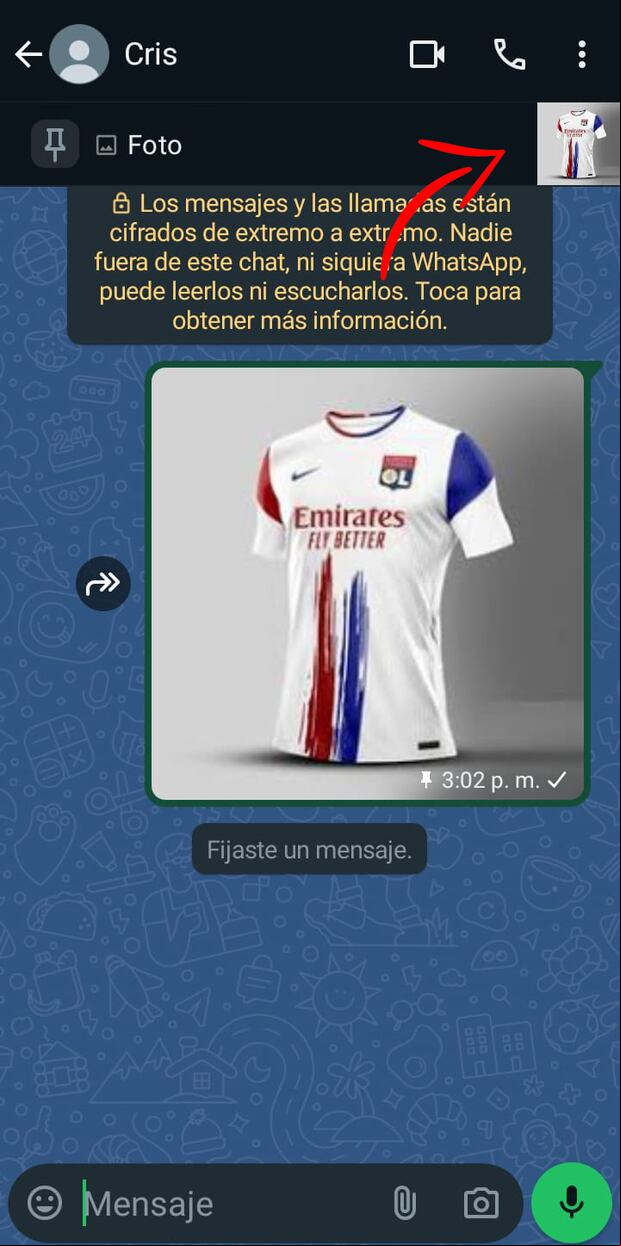 El resultado de la función "Vista previa del archivo multimedia fijado". (Foto: GEC)