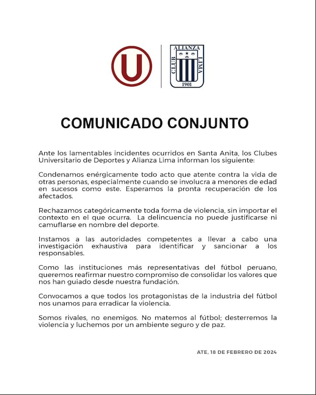Cuatro personas terminaron gravemente heridas tras el brutal enfrentamiento. (Imagen: Difusión)