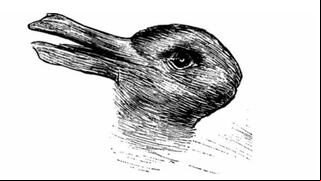 Dos animales para descubrir tu forma de ser: ¿qué ves primero en el test visual?