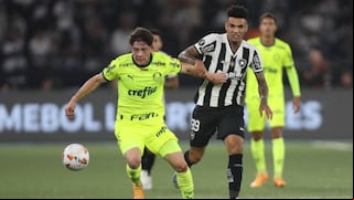 Botafogo vs. Palmeiras (2-1): goles, video y resumen por Copa Libertadores
