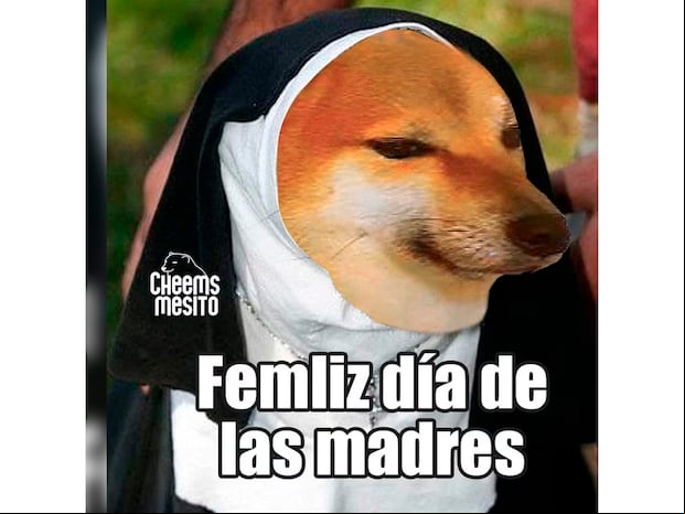 WHATSAPP | También puedes emplear este meme de Cheems. (Foto: Memegenerator)
