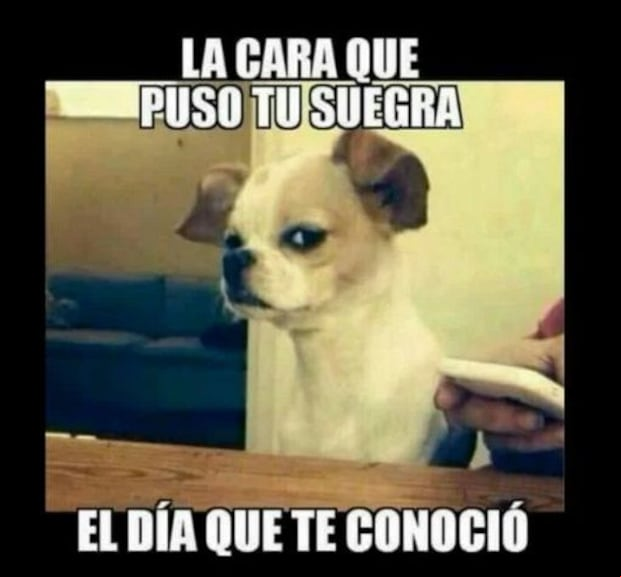 Memes por el Día Mundial de la Suegra. (Foto: Internet)