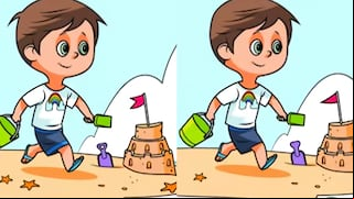 ¡Atención, observadores! Descubre las 7 diferencias en 9 segundos y supera el reto visual