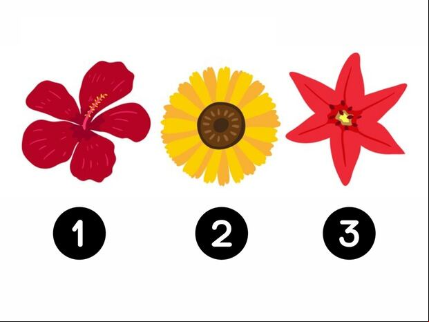 TEST VISUAL | Este tipo de flores se visualizan en gran parte del mundo. (Foto: Composición Freepik / Depor)