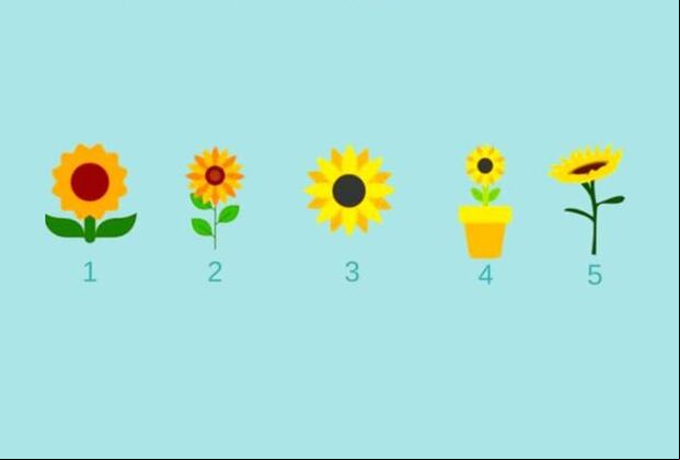 Test de personalidad: Elige un girasol y descubre los secretos más profundos de tu alma. (sutilezafeminina)