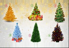 TEST VISUAL: Indica cuál es tu árbol de Navidad favorito y averiguarás qué tipo de persona eres