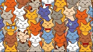 Reto visual: ¿puedes encontrar al conejo escondido entre los gatos en menos de 7 segundos?