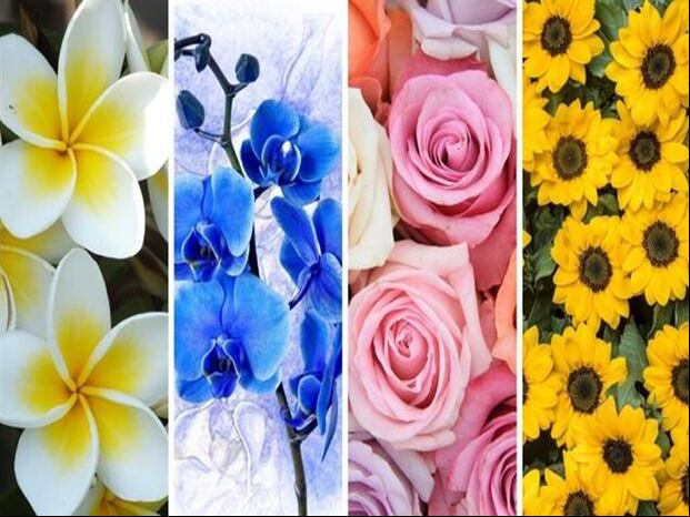 Test de personalidad | Participa en este análisis profundo y descubre cómo tus elecciones florales revelan aspectos esenciales de tu trayectoria vital.