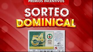 Lotería Nacional de Panamá del 14 de julio: números ganadores del sorteo
