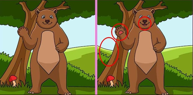 RETO VISUAL | ¿Encontraste las 3 diferencias dentro del límite del tiempo?