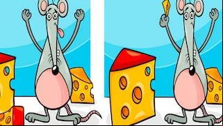 ¿Podrás hallar las 5 diferencias en solo 8 segundos? ¡Pon a prueba tu velocidad visual!