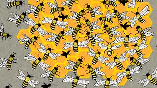 Encuentra a la abeja diferente en 5 segundos: un reto solo para los más rápidos