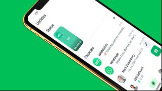 WhatsApp para iOS: cómo habilitar la vista previa de estados